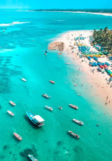 Porto de galinhas